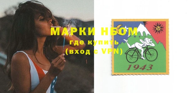 гашик Нея