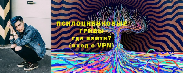 гашик Нея