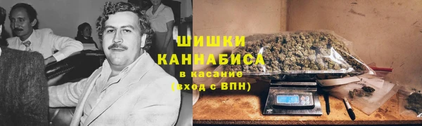 гашик Нея
