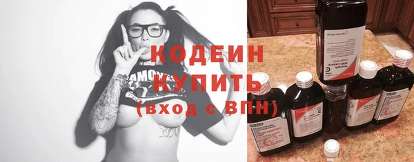 гашик Нея