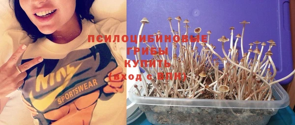 a pvp Нефтегорск