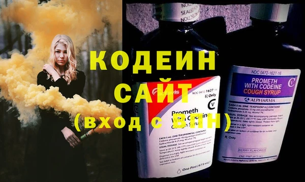 гашик Нея